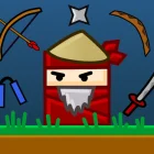 The Ninja Master